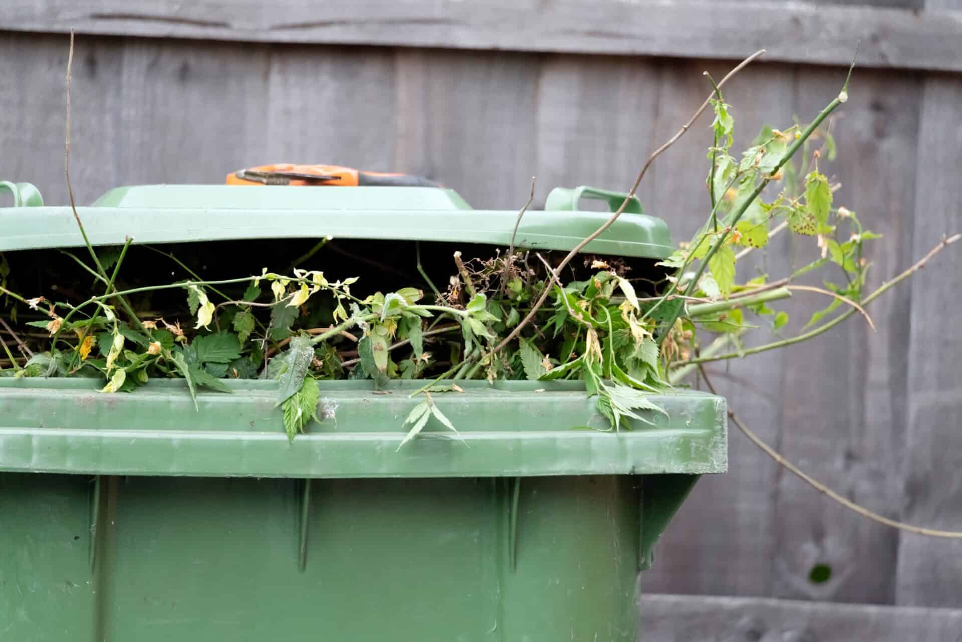 greens bin